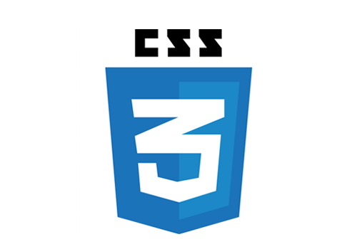 css3